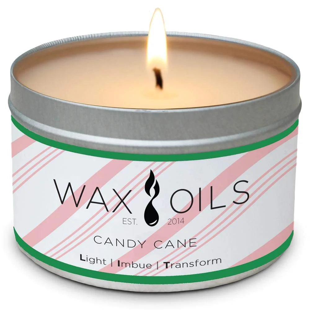 Wax and Oils Soy Wax Aromatherapy Scented Candles (Autumn Spice) 8 Ounces. Single Autumn Spice