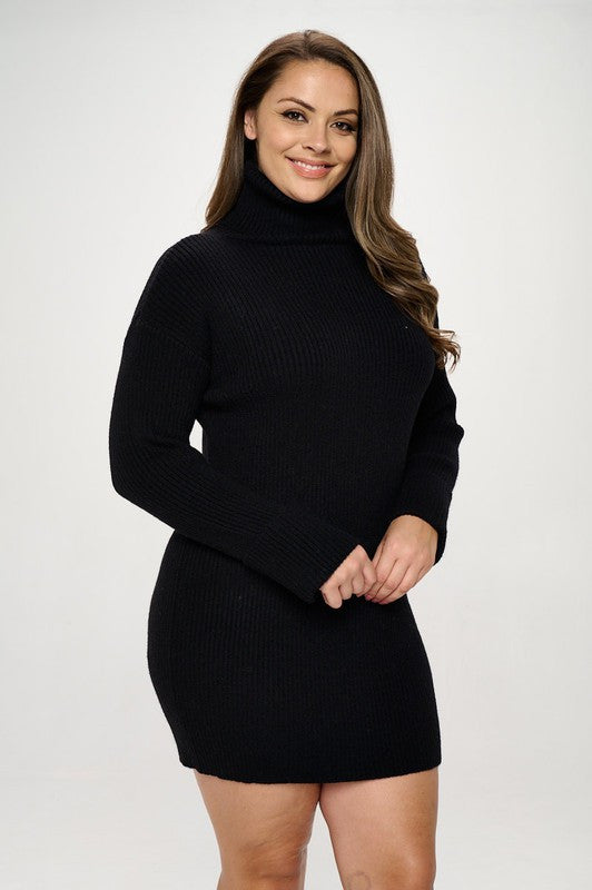 Black Turtleneck Sweater Dress